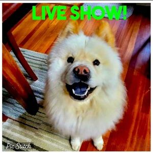 @beckyneill is going LIVE! Like this listing to be notified when I go live.